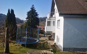 Ferienwohnung Dinkelbergblick Öflingen